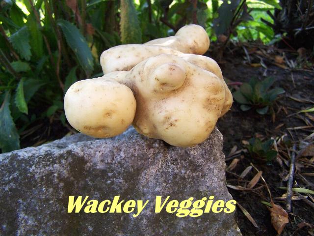 Wackey Veggies