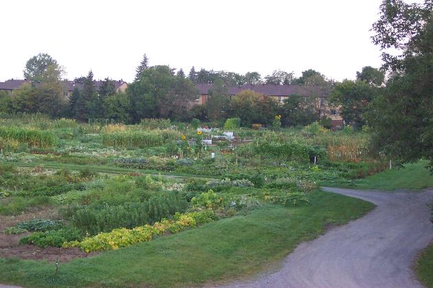 Orient Park Gardens